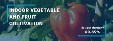 Getting ready to buy some boveda packs. Vegetable And Fruit Cultivation Neptronic
