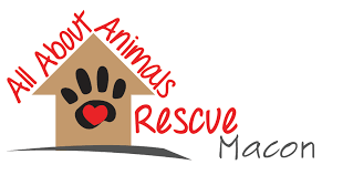 They 'do it right' by the kittens and cats they rescue. All About Animals Rescue