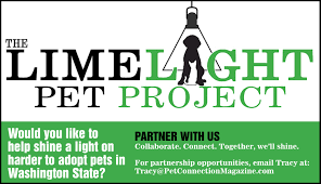 With no shortage on homeless animals, we provide a means to find them excellent homes. The Limelight Pet Project Pet Adoptions A Partnership To Provide Fame For The Forgotten A Platform For The Less Fortunate And Perspective From The People And Places That Help Harder To