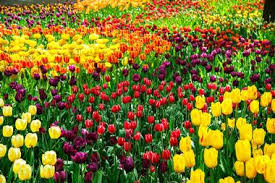 Maybe you would like to learn more about one of these? 25 Best Things To Do In Hot Springs Ar