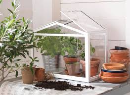 Great design & producterinthis product is a glass greenhouse container that i use with a variety of plants to help them grow and flourish. Ikea Usa On Twitter Don T Have Space For A Garden It S Easy To Diy With A Mini Greenhouse Http T Co 8ejwfs637a Http T Co Vfkzflwejr