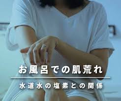 メイプルリンク