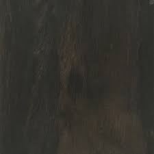 Image result for Diospyros crassiflora