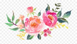 728 x 556 8 0. Water Colour Flower Png 20 Lavanya Fabric Design Clear Background Watercolor Flowers Transparent Watercolor Floral Png Free Transparent Png Images Pngaaa Com
