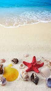 This Wallpaper Is Shared To You Via Zedge Beach Wallpaper Summer Wallpaper Ocean Wallpaper