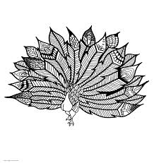 Download this premium vector about coloring page for adults with peacock, and discover more than 12 million professional graphic resources on freepik. Peacock Coloring Page For Adults Coloring Pages Printable Com