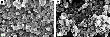 Boric acid, also called hydrogen borate, boracic acid, and orthoboric acid is a weak, monobasic lewis acid of boron. Sem Images Of The Boric Acid Modified Titania A And Pure Titania B Download Scientific Diagram