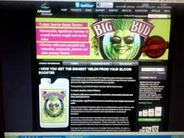 advanced nutrients big bud or house and garden