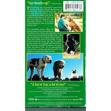 Pv Vhs Disney Homeward Bound The Incredible Journey 717951801036 On Ebid United States 175769082