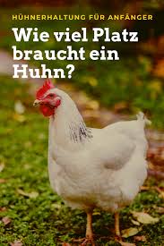 Pin Auf Rasenpflege