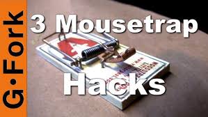 Three Ways To Set Wooden Mouse Traps That Actually Catch Mice Mouse Traps Getting Rid Of Mice Mouse Traps That Work