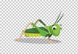 Grasshopper Cartoon Png Animation Arthropod Cartoon Cricket Like Insect Desktop Wallpaper Cartoons Png Cartoon Png
