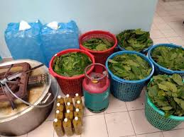 Pulau carey, telok panglima garang, 42500 kuala langat, selangor, malaysia. Pelajar Tingkatan Lima Ditahan Bersama Air Ketum