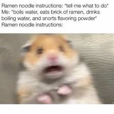 Ramen Noodle Instructions Tell Me What To Do Me Boils Water Eats Brick Of Ramen Drinks Boiling Water And Sno Funny Animal Photos Funny Memes Goth Memes