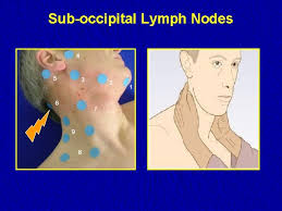 Because lymph nodes help in keeping your body healthy, they can become swollen if you have an illness or infection. Lymph Nodes Examination Examination Of The Lymphatic System