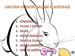 We did not find results for: Ppt Klasifikasi Makhluk Hidup Powerpoint Presentation Free Download Id 3069810