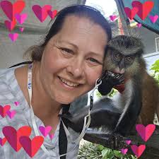 Does anyone use automatic chicken feeders with timers?