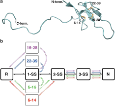 Click here to simplify or reduce 6/14 to lowest terms or form equivalent fraction. Diselenide Crosslinks For Enhanced And Simplified Oxidative Protein Folding Communications Chemistry