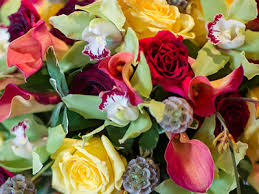 If you require a floral wreath or large floral tribute prices typically most people bring flowers to a funeral, ranging from single rose or flower stem to an elaborate floral wreath or sheath bouquet. Timeless Moments Floral Preservation Welcome To Timeless Moments