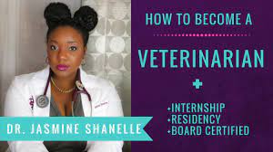 Most work in private practices, typically caring for small animals such as dogs, cats, and birds. How Long Does It Take To Become A Veterinarian And Board Certified Youtube
