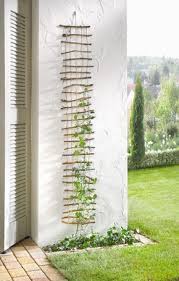 Pin Auf Gardening
