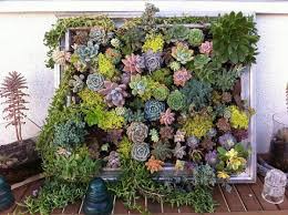 Vertikalen Garten Selber Bauen Projekte Furs Haus Zum Selbermachen Vertikaler Garten Gartencontainer Bunte Sukkulenten