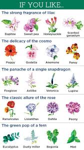 You Have A Favorite Flower But Here Are 20 More That Are Just Waiting To Be Discovered Ga Flower Names Planting Flowers Plants