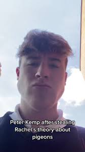 English GCSE< #fyp #year11 #pigeon #gcse #aqa