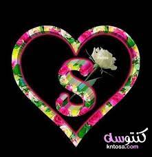 حب متحركة حرف s في قلب متحرك. Pin On ØµÙˆØ± Ø§Ù†Ù…Ù‰ ÙƒÙŠÙˆØª 2019