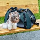 Image result for pet bag