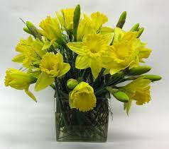 Pin On Daffodils