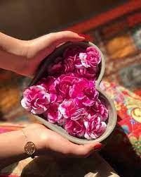 Stars And Colors Pics For Dp Beautiful Rose Flowers Best Urdu Poetry Images