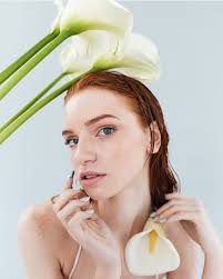 Norcal Salon Services