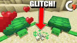 How do you hatch an ender dragon egg in minecraft? Minecraft But I Found A Turtle Hatching Glitch Youtube