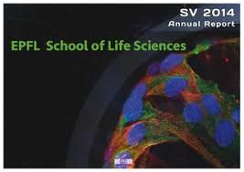 An increasing aging population poses a significant challenge to societies worldwide. Annual Report 2014 Sv By Epfl School Of Life Sciences Issuu