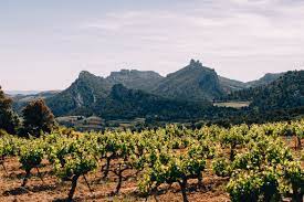 We did not find results for: Vaucluse Radfahren Geniessen In Der Provence Sonne Wolken