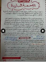 Meat Tenderloin Arabic Food Egyptian Food Food Menu