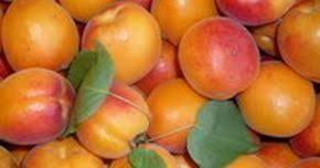 Epingle Par Ahmed Zahra Sur Fruits Exotiques En 2020 Coulis De Fruits Fruit Jaune Coulis