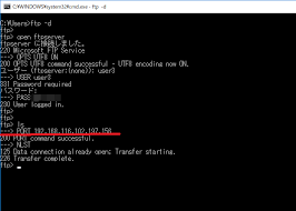 Windowsのftpクライアントではパッシブモード Pasv では接続できない Puti Se Blog