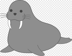 Maybe you would like to learn more about one of these? Berang Berang Walrus Earless Seal Singa Laut Gambar Segel Kumis Hitam Dan Putih Kartun Paruh Berang Berang Png Pngwing