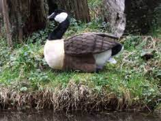 Canadian Goose Stuffed Animal 17 Large Stuffed Goose Canadian Goose Goose Canadian