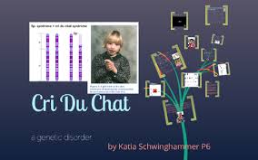 Cri Du Chat Syndrome Prezi Presentation By Katia