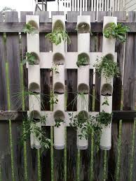 Home Made Vertical Garden Made With Pvc Piping 3 Thanks Hubby Vertical Garden Diy Vertical Garden Vertical Garden Indoor