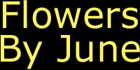 Flowers by june proudly serves anchorage and the surrounding areas. Anchorage Florist Flower Delivery By Flowers By June