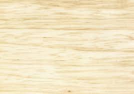 Image result for Terminalia superba