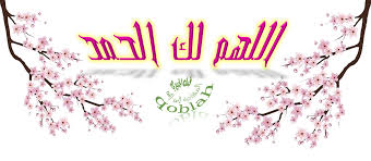 Pin On تصاميم قبله الجبيري