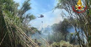 At least five people were wounded and holidaymakers evacuated after wildfires devastated a pine wood near a beach in pescara, italy, as one of the worst heat. Vegetation On Fire Firefighters Tame The Fire After Six Hours Video Pescara Time News Time News