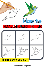 The best selection of royalty free hummingbird vector art, graphics and stock illustrations. Hummingbird Drawing How To Draw A Hummingbird Step By Step