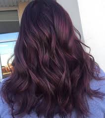 Are you ready to choose your perfect purple combo? Pinterest Hailey Hair Styles Plum Hair Balayage Hair
