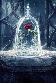 Enchanted Rose Poster By Sierramarie In 2021 Beast Wallpaper Beauty And The Beast Wallpaper Disney Wallpaper